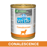 VetLife Convalescence Dog Wet Food